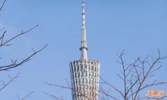 <b>地宝声明：本文仅代表做者小我概念</b>